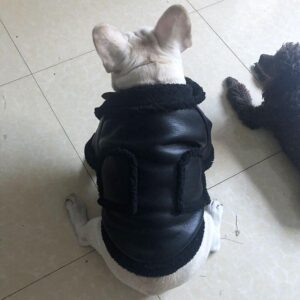 Frenchie World Shop French Bulldog Black Montone Jacket