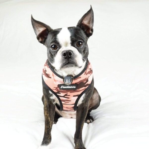 Purple Uranus Leashes, Collars & Petwear French Bulldog Camouflage Reversible Harness