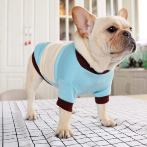 Frenchie World Shop French Bulldog Colorblock Striped Round Neck Shirt