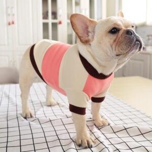Frenchie World Shop French Bulldog Colorblock Striped Round Neck Shirt