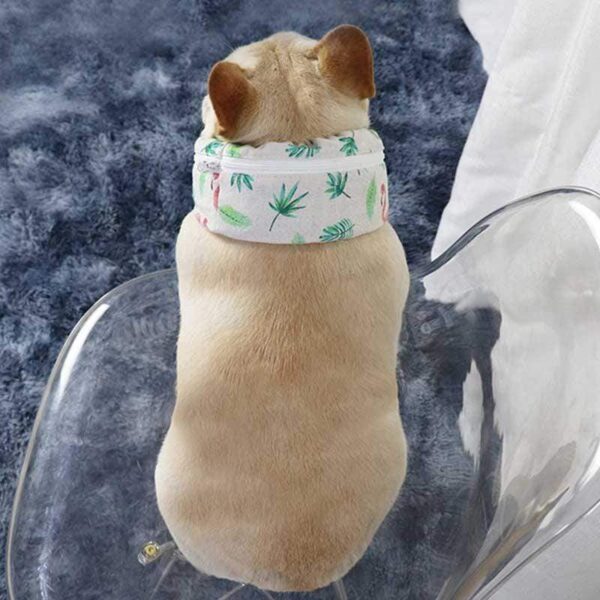 Frenchie World Shop French Bulldog Cooling Collar