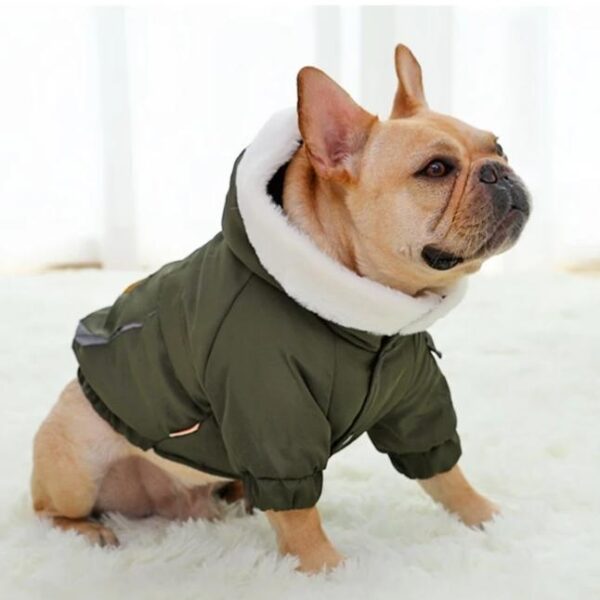 Frenchie World Shop Green / L French Bulldog Cotton Padded Parka