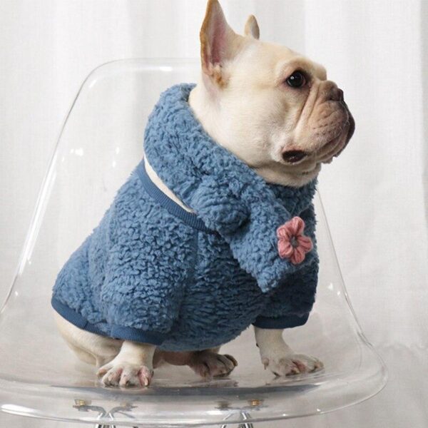 Frenchie World Shop French Bulldog Cuddling Sweater With Matching Scarf