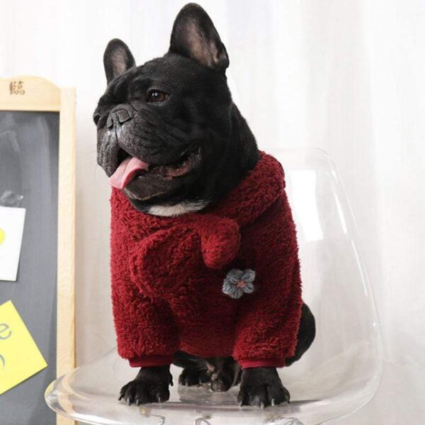 Frenchie World Shop French Bulldog Cuddling Sweater With Matching Scarf