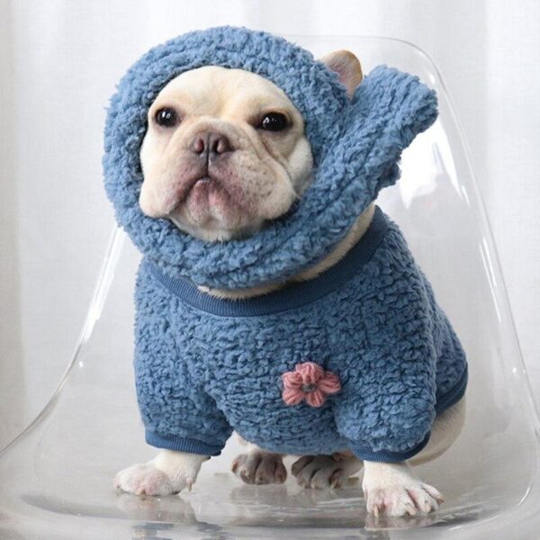 Frenchie World Shop Blue Set / XXL French Bulldog Cuddling Sweater With Matching Scarf