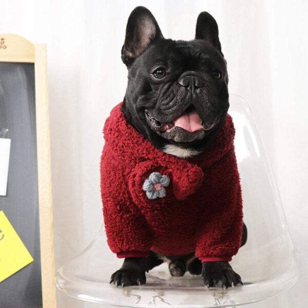 Frenchie World Shop Red Set / XL French Bulldog Cuddling Sweater With Matching Scarf