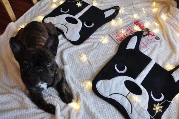 Frenchie World Shop Homeware French Bulldog decorative sleeping mat