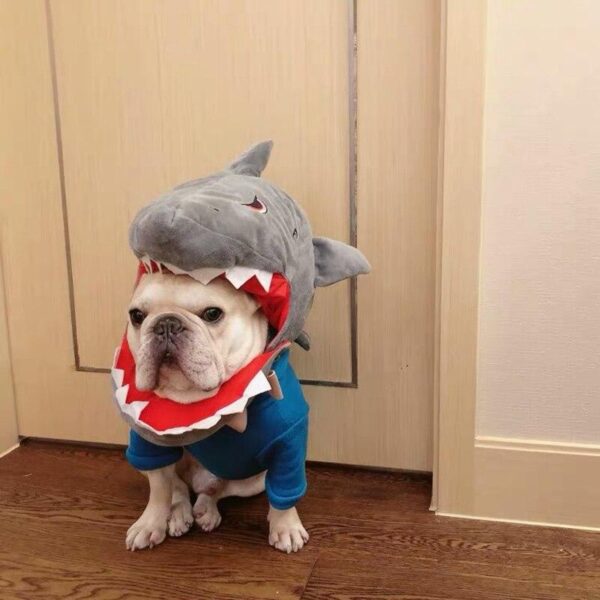 Frenchie World Shop French Bulldog Dinosaur/Shark Headgear Costume