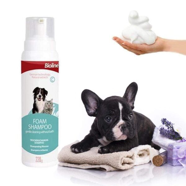 Frenchie World Shop French Bulldog Dry Cleaning Foam Shampoo