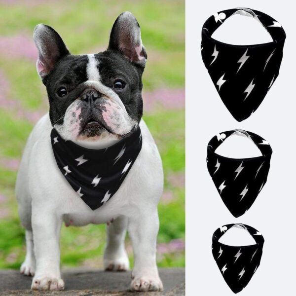 Frenchie World Shop Black / L French Bulldog Flash Bandana