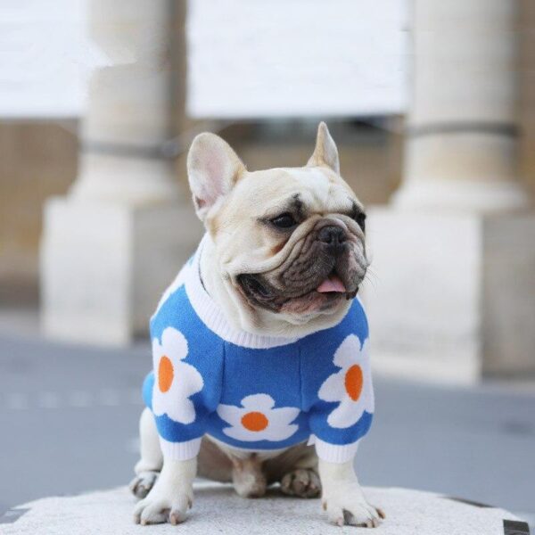 Frenchie World Shop Blue / XS French Bulldog Floral Knitted Sweater