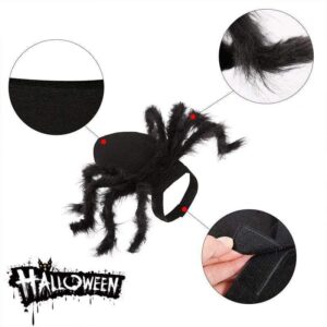 Frenchie World Shop French Bulldog Hairy Spider Costume