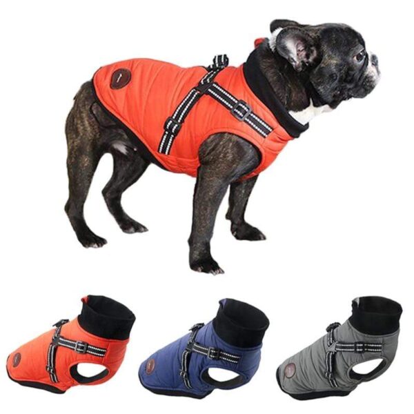 Frenchie World Shop French Bulldog Harness Winter Vest