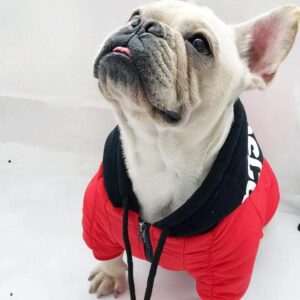 Frenchie World Shop French Bulldog Hooded Jacket