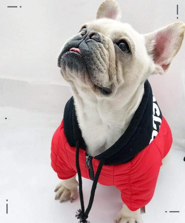 Frenchie World Shop French Bulldog Hooded Jacket