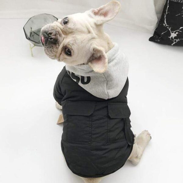 Frenchie World Shop Black / M French Bulldog Hooded Jacket