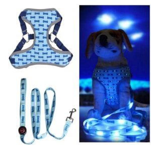 Frenchie World Shop Blue Set / S French Bulldog LED Flashing Harness and Leash Set