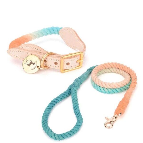 Frenchie World Shop Orange-blue Set / M French Bulldog Luxurious Rope Collar With ID Tag