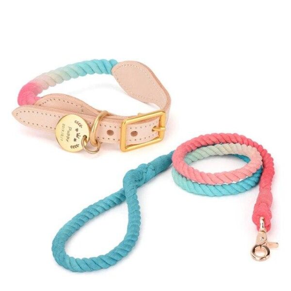 Frenchie World Shop Pink-blue Set / XL French Bulldog Luxurious Rope Collar With ID Tag