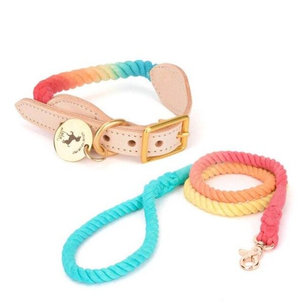 Frenchie World Shop Rainbow Set / XS French Bulldog Luxurious Rope Collar With ID Tag