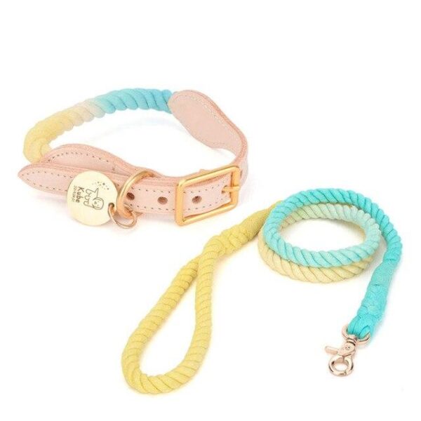 Frenchie World Shop Yellow-blue Set / XS French Bulldog Luxurious Rope Collar With ID Tag