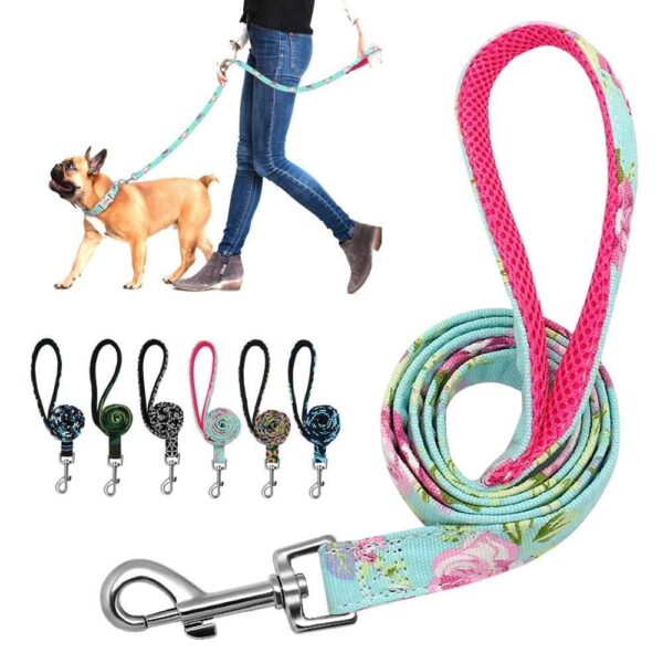 Frenchie World Shop French Bulldog Mesh Padded Walking Leash