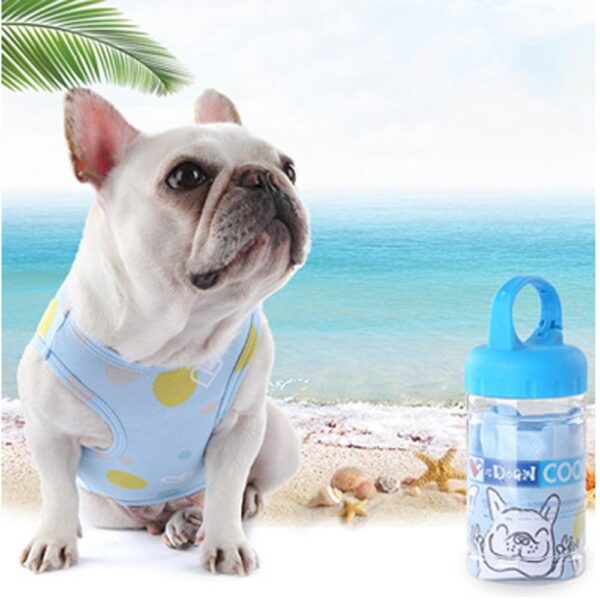 Frenchie World Shop Blue / L Clothes and cup French Bulldog Mesh Summer Cooling Vest