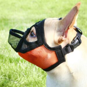 Frenchie World Shop French Bulldog Muzzle