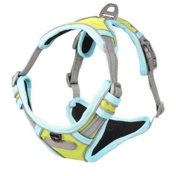 Frenchie World Shop Fluorescent green / S French Bulldog No-Pull Nylon Harness