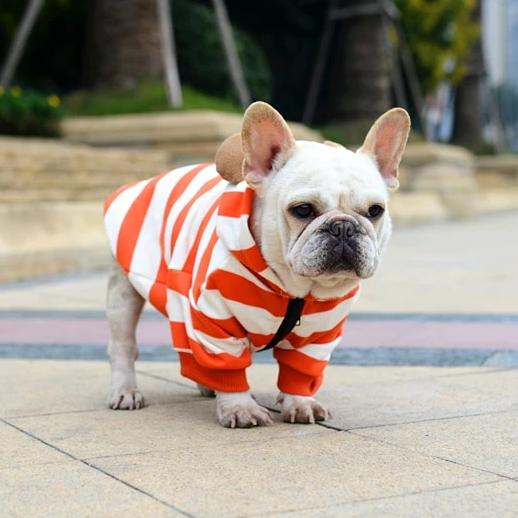 Frenchie World Shop French Bulldog Orange Striped Hoodie