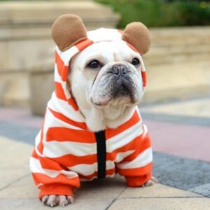 Frenchie World Shop Orange / XS French Bulldog Orange Striped Hoodie