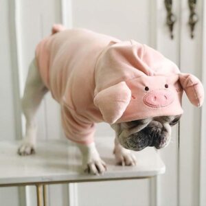 Frenchie World Shop Pink / S French Bulldog Plush Pig Hoodie