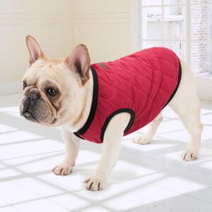 Frenchie World Shop French Bulldog Quilted Winter Vest