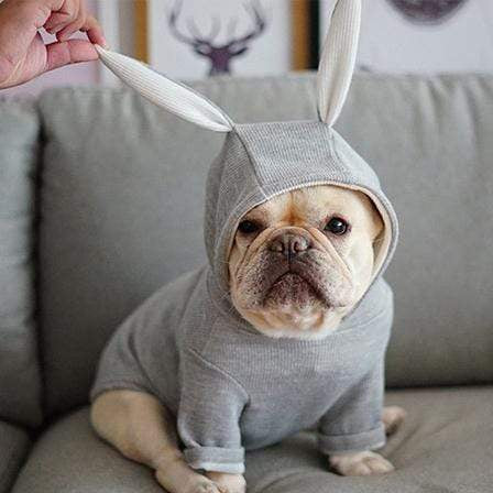 Frenchie World Shop Dog Clothing French Bulldog Rabbit Hoodie
