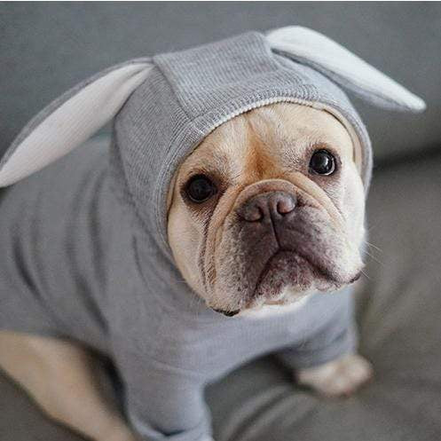 Frenchie World Shop Dog Clothing French Bulldog Rabbit Hoodie