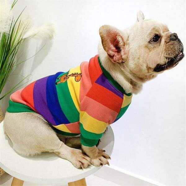 Frenchie World Shop Red / 4XL French Bulldog Rainbow Crewneck