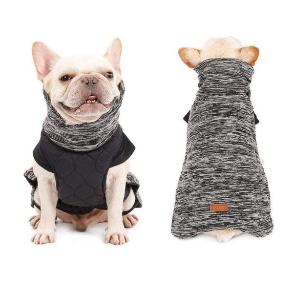 Frenchie World Shop French Bulldog Reversible Winter Jacket