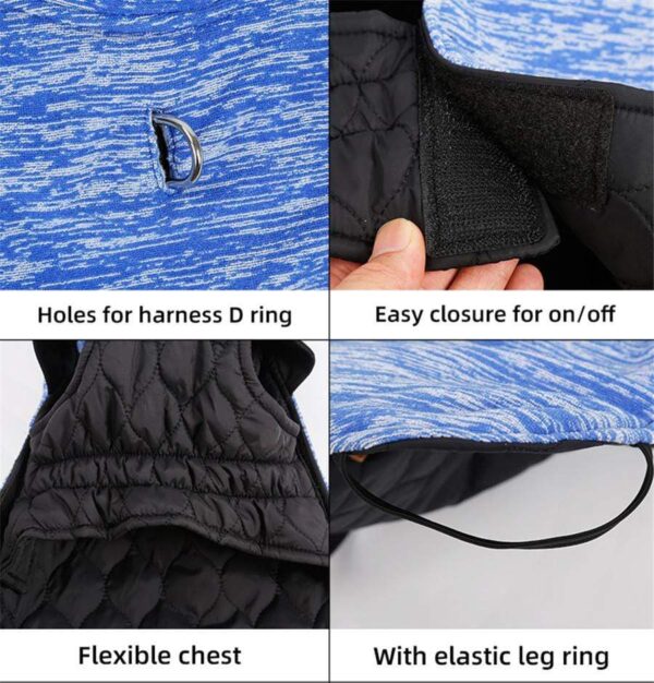 Frenchie World Shop French Bulldog Reversible Winter Jacket
