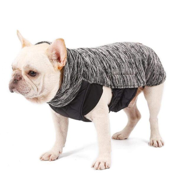 Frenchie World Shop French Bulldog Reversible Winter Jacket