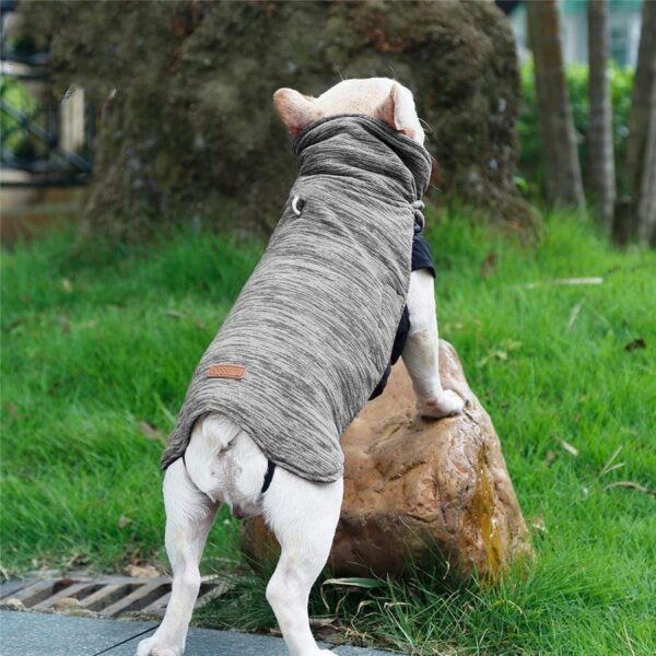 Frenchie World Shop French Bulldog Reversible Winter Jacket