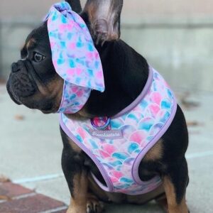 Purple Uranus Leashes, Collars & Petwear French Bulldog Seaside Reversible Harness