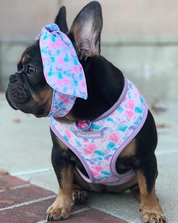 Purple Uranus Leashes, Collars & Petwear French Bulldog Seaside Reversible Harness