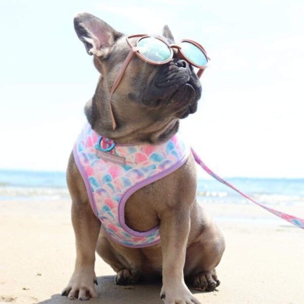 Purple Uranus Leashes, Collars & Petwear French Bulldog Seaside Reversible Harness