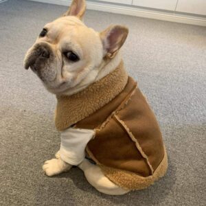 Frenchie World Shop French Bulldog Shepherd Vest