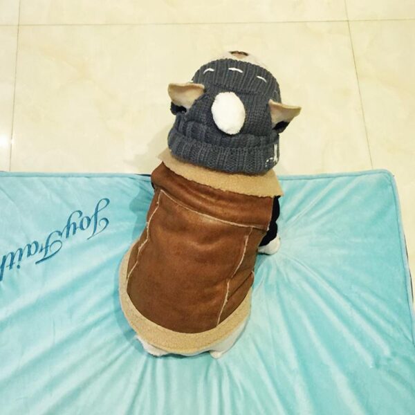 Frenchie World Shop French Bulldog Shepherd Vest