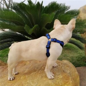 Frenchie World Shop French Bulldog Sport Harness