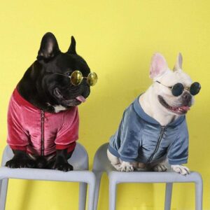 Frenchie World Shop French Bulldog Spring Velvet Jacket