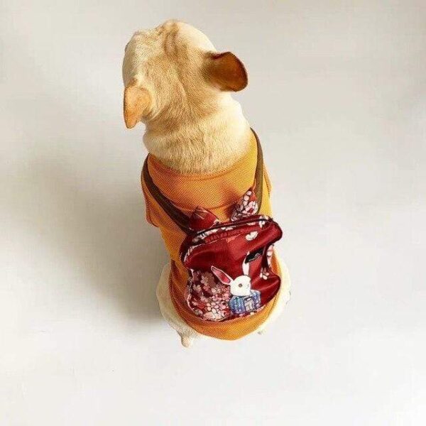 Frenchie World Shop orange / XXL French Bulldog Summer Cooling Jacket