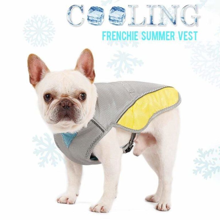 French Bulldog Summer Cooling Vest Frenchie World Shop