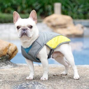 Frenchie World Shop White / L / CHINA French Bulldog Summer Cooling Vest